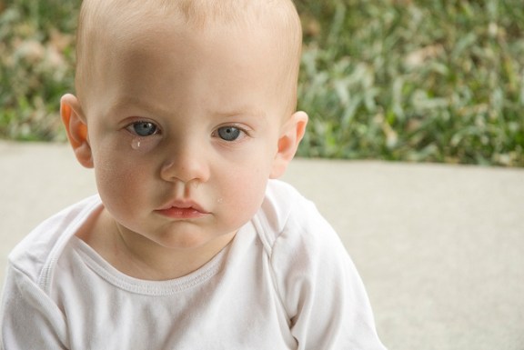 7004202325_9509262ae0_z