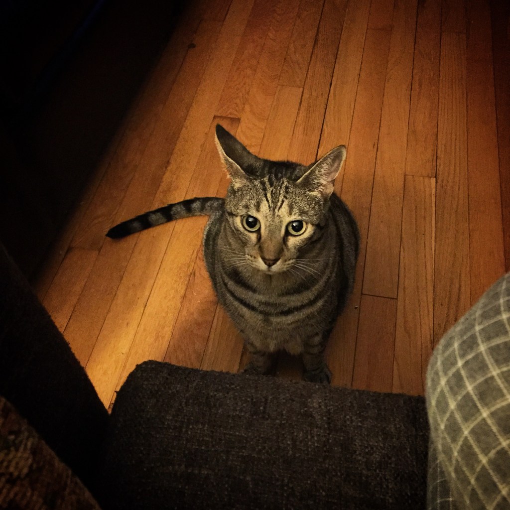 Tuesdays With Murray