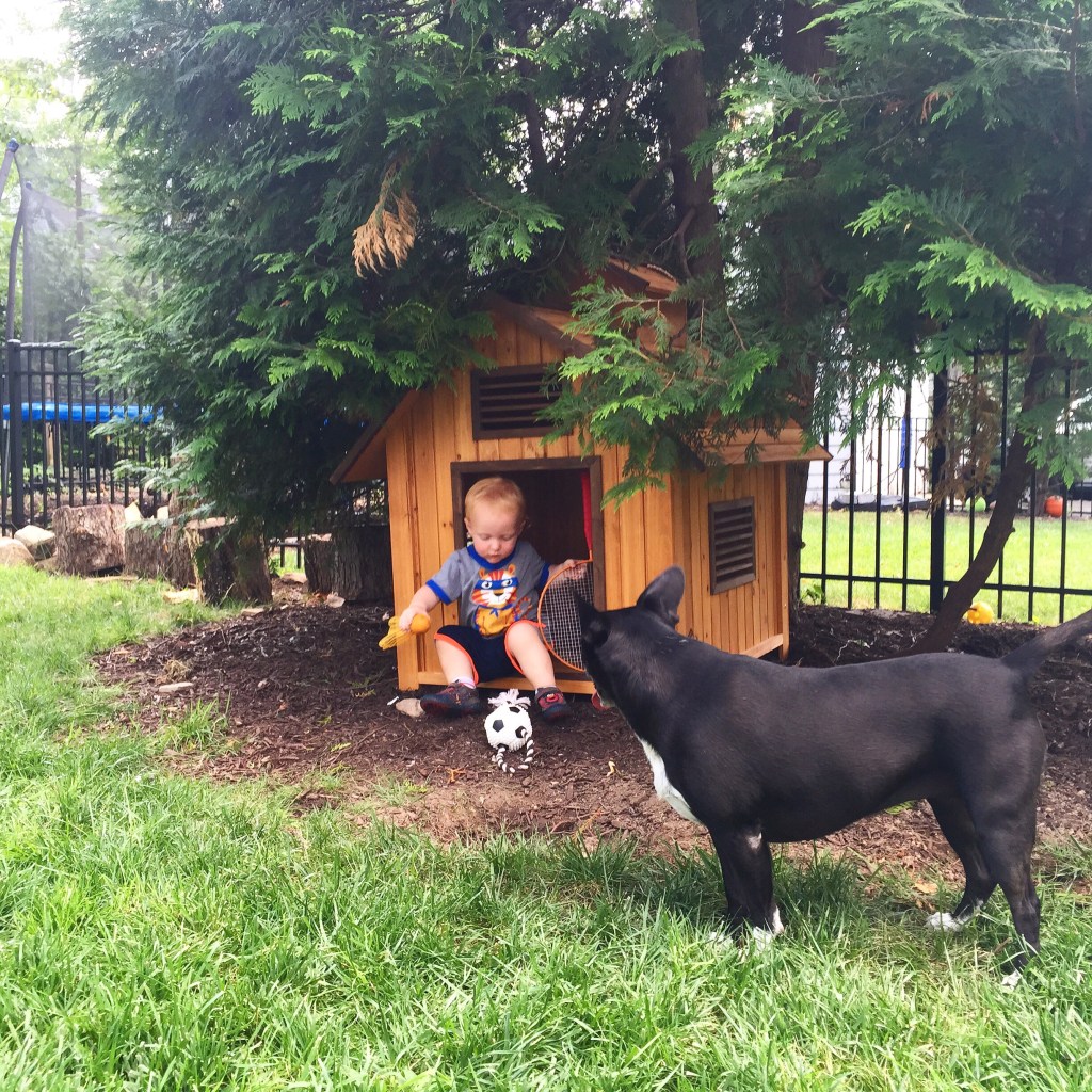 Bella Got A&nbsp;Doghouse