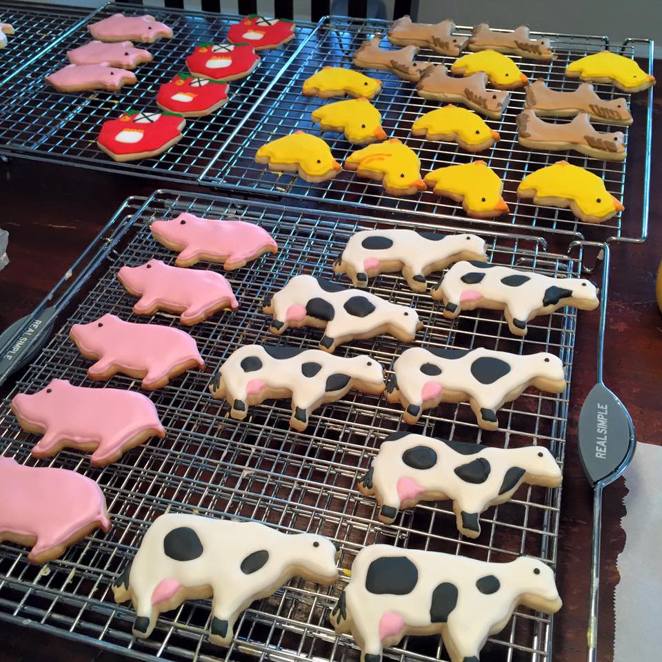 12096066_902012606545619_4203013240379447701_n