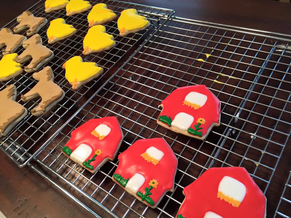 12096257_902014369878776_8018892147302994776_n