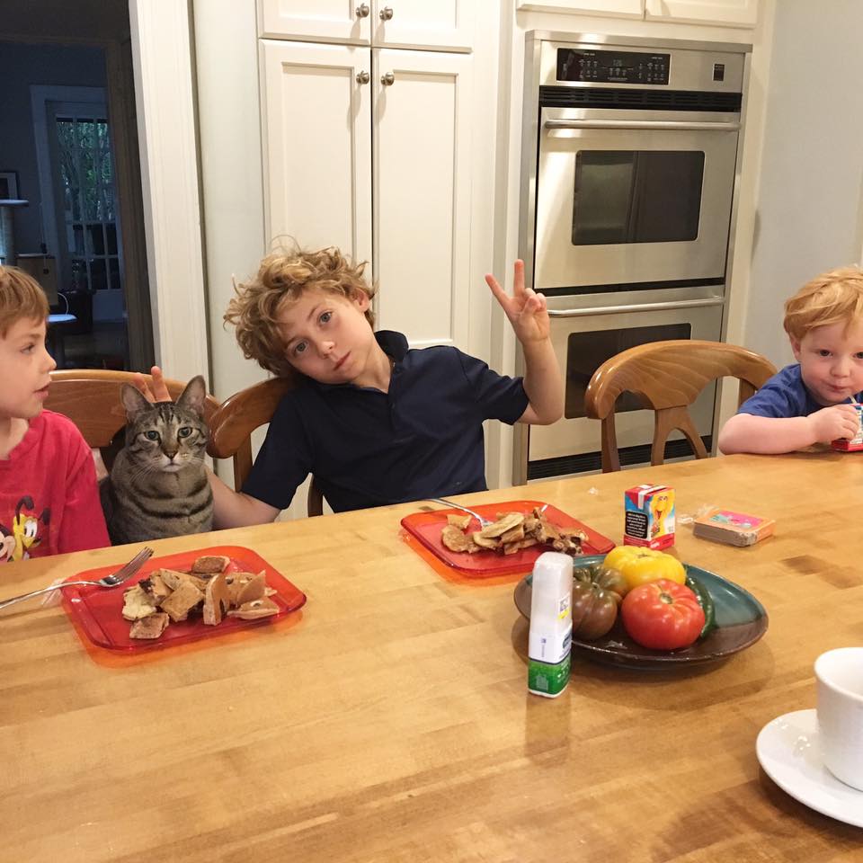 13921186_1086420764771468_1545263673280269882_n